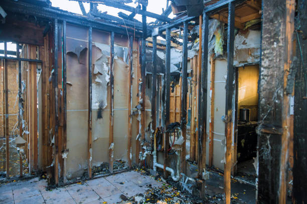 Professional Fire Damage Removal technician working in Locust Fork, AL